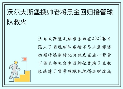 沃尔夫斯堡换帅老将黑金回归接管球队救火